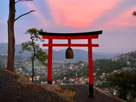 mirador heritage and eco park reviews|Everything You Need To Know About Mirador .